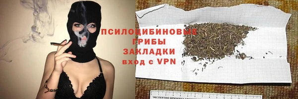 гашик Бронницы