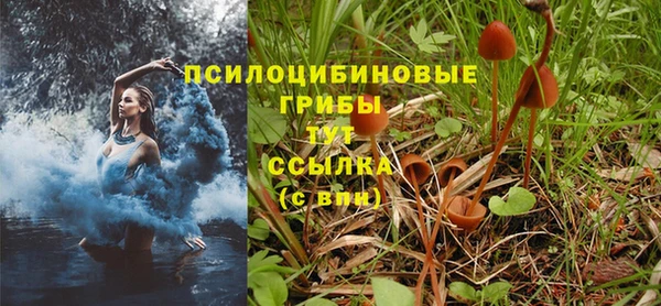 мяу мяу мука Туринск